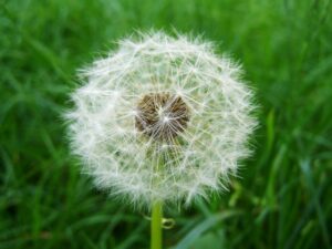 ASDの放課後等デイの選び方を医師に聞いてみたら？