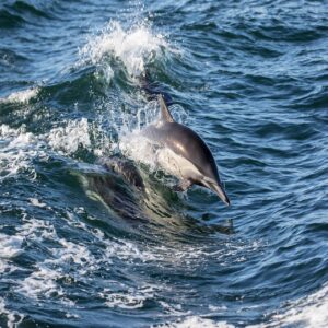 ASD専門医によるカウンセリングの効果とは？